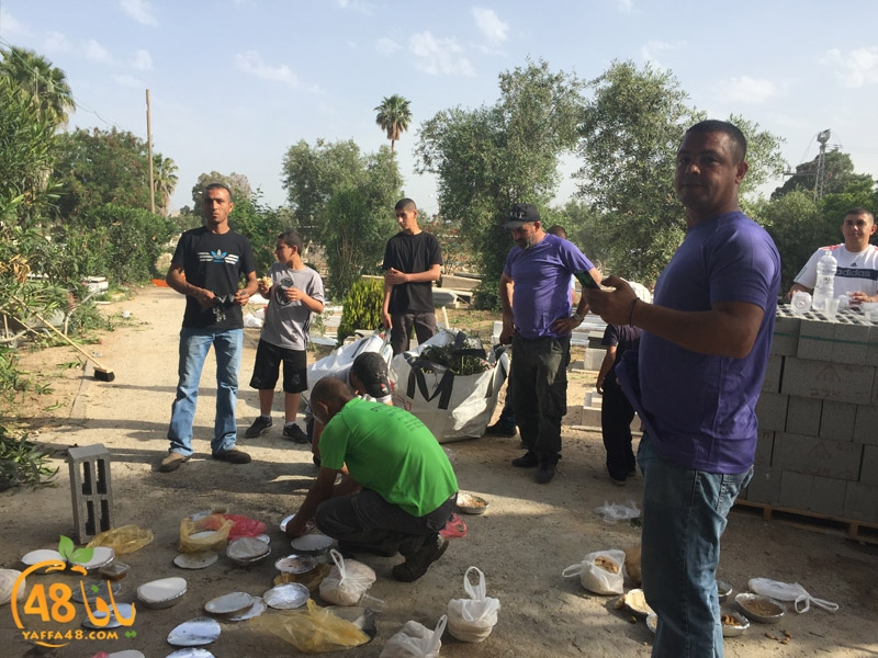 7amla lud maqbara (22).jpg